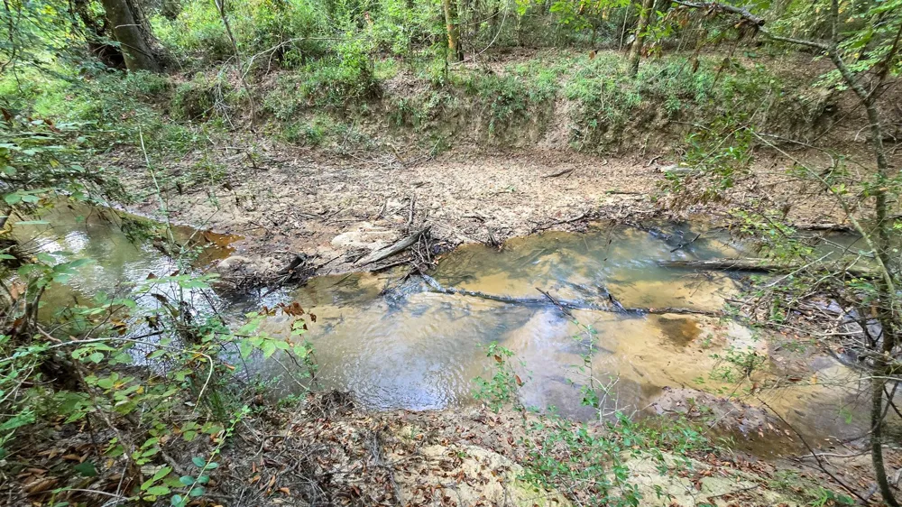 Butler Road Livingston, TX 77351