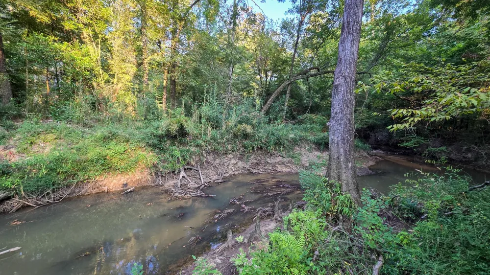 Butler Road Livingston, TX 77351