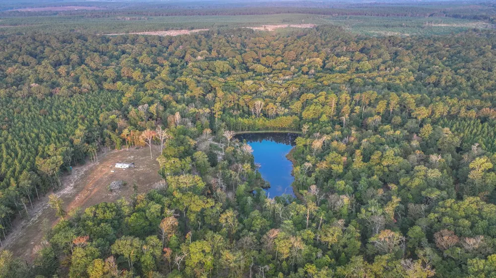 Butler Road Livingston, TX 77351