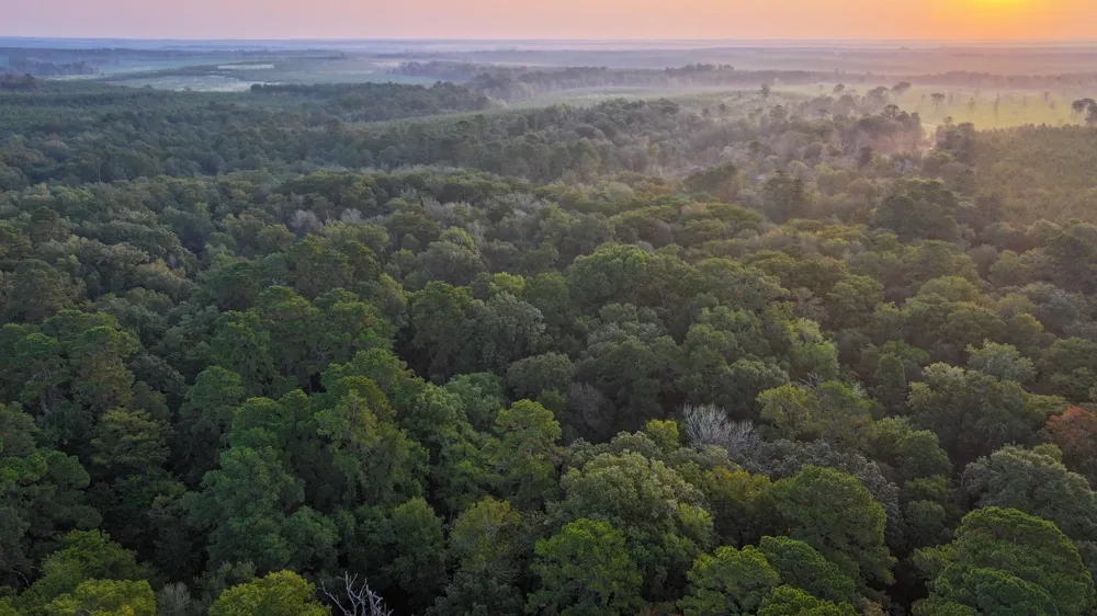 Butler Road Livingston, TX 77351