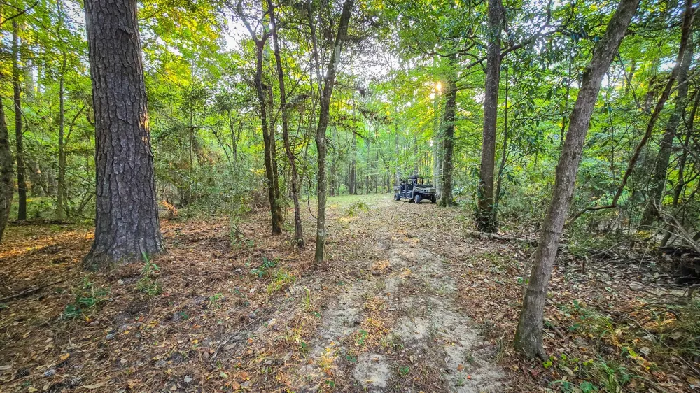 Butler Road Livingston, TX 77351