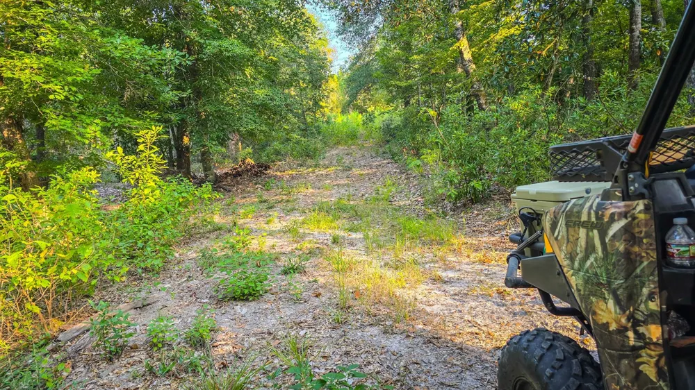 Butler Road Livingston, TX 77351