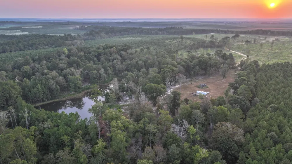 Butler Road Livingston, TX 77351