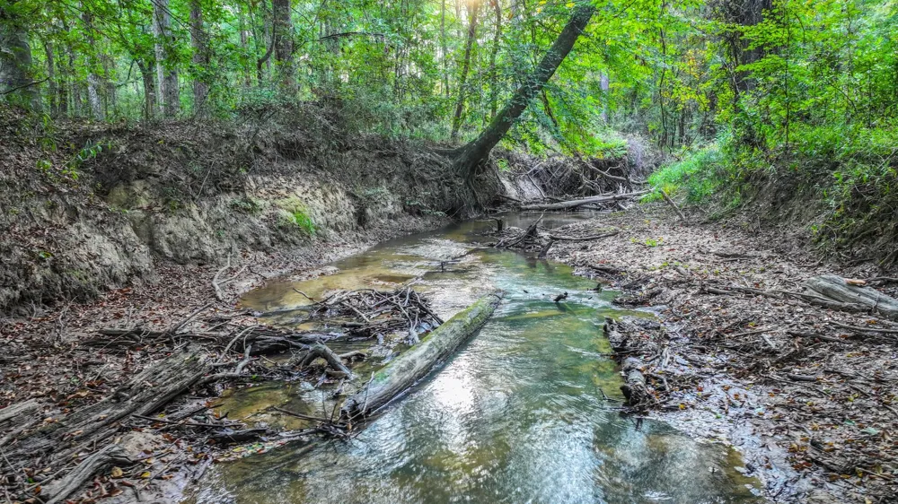 Butler Road Livingston, TX 77351