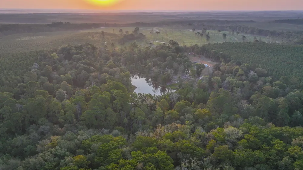 Butler Road Livingston, TX 77351