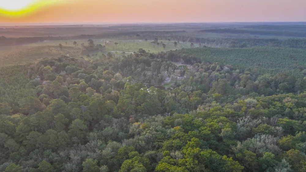 Butler Road Livingston, TX 77351