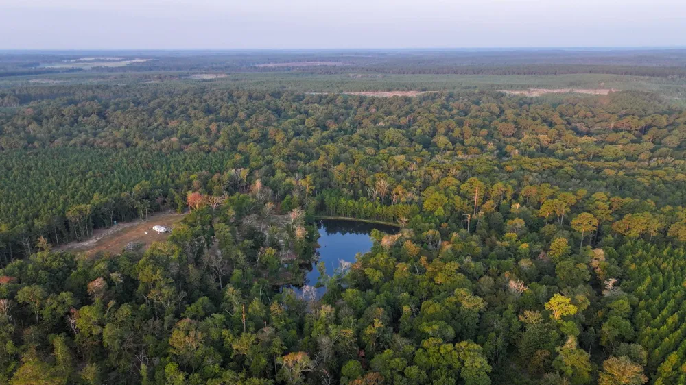 Butler Road Livingston, TX 77351