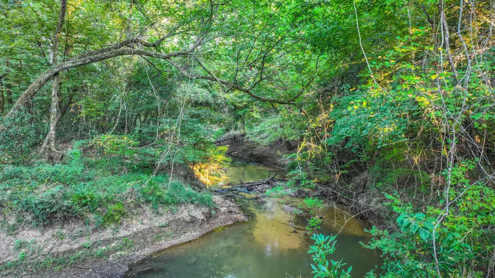 Butler Road Livingston, TX 77351