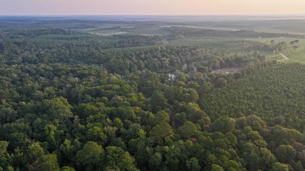 Butler Road Livingston, TX 77351