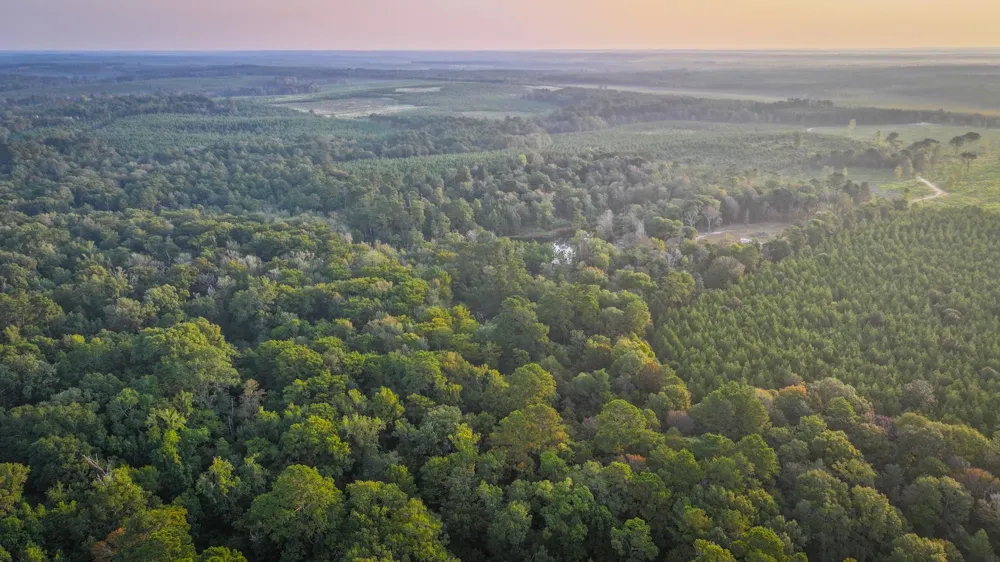 Butler Road Livingston, TX 77351