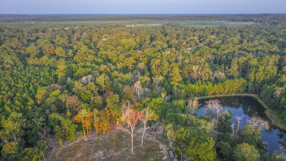 Butler Road Livingston, TX 77351