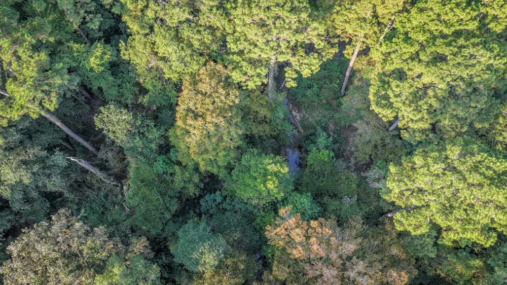 Butler Road Livingston, TX 77351
