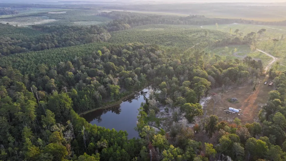 Butler Road Livingston, TX 77351