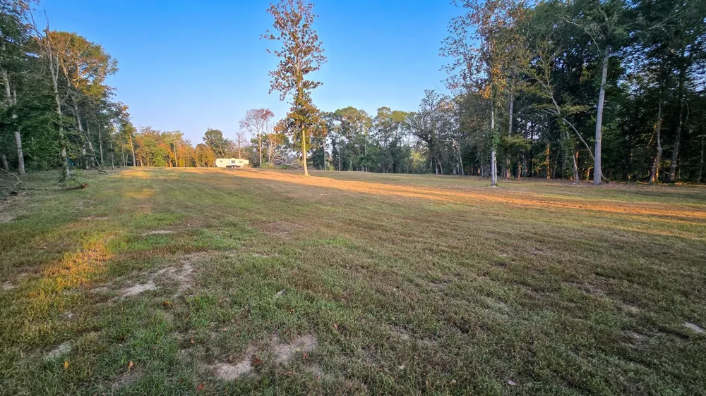 Butler Road Livingston, TX 77351