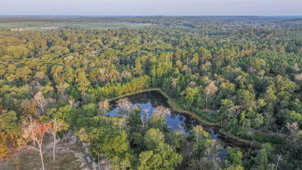 Butler Road Livingston, TX 77351