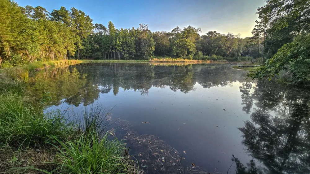 Butler Road Livingston, TX 77351