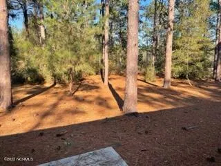 460 E Baltimore Avenue Pinebluff, NC 28373