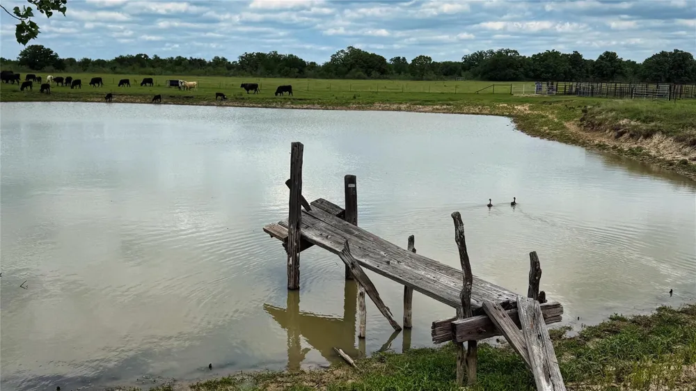 County Road 317 Rockdale, TX 76567