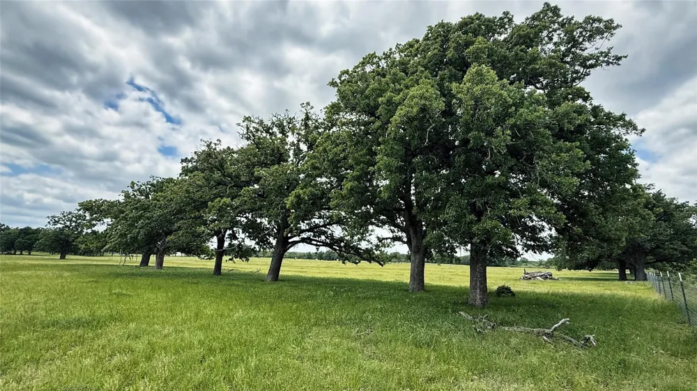County Road 317 Rockdale, TX 76567