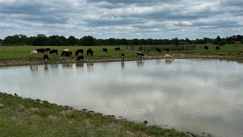 County Road 317 Rockdale, TX 76567