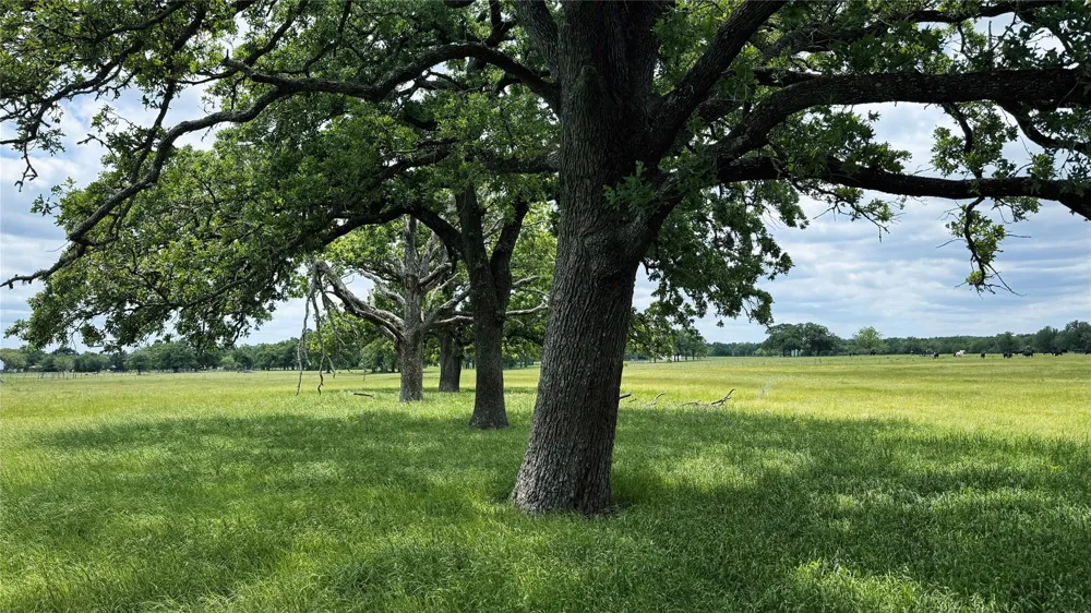 County Road 317 Rockdale, TX 76567