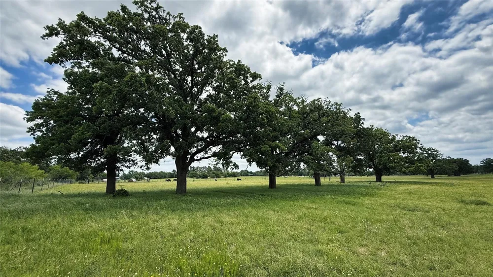 County Road 317 Rockdale, TX 76567