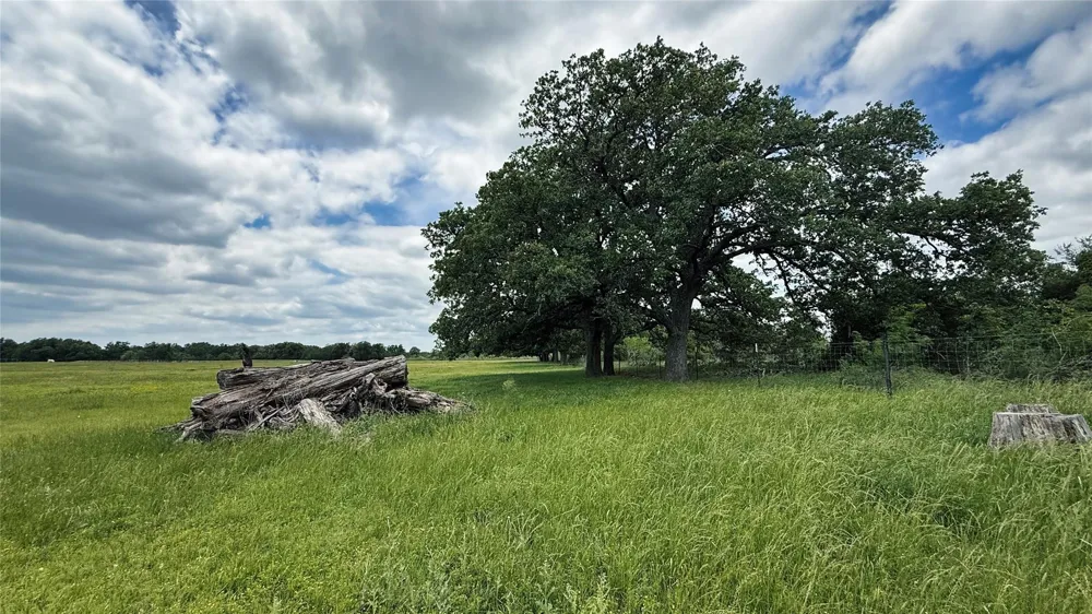 County Road 317 Rockdale, TX 76567
