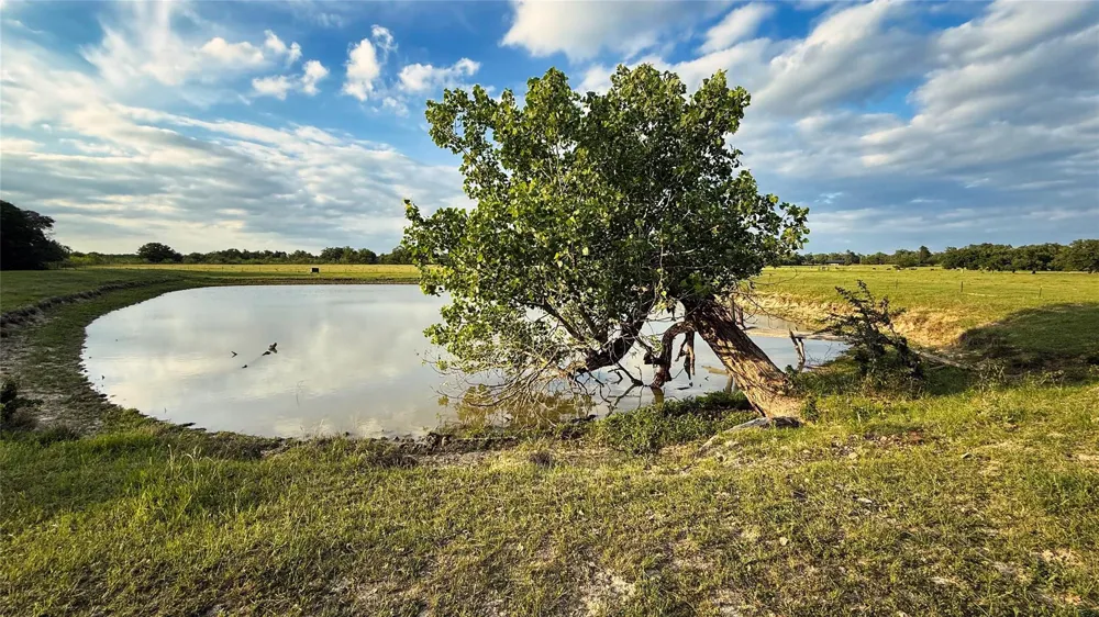 County Road 317 Rockdale, TX 76567