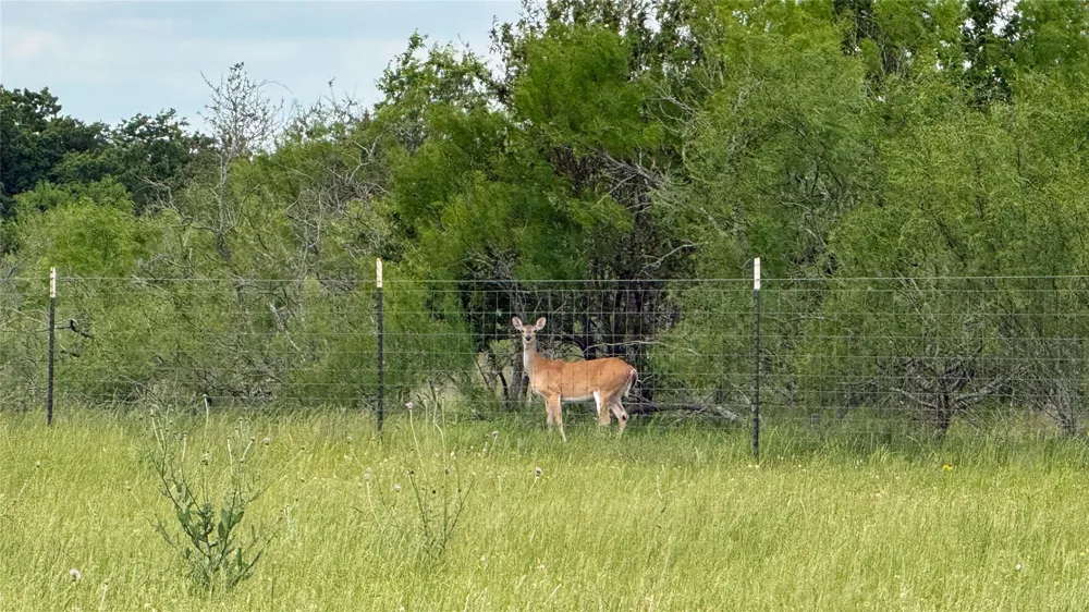 County Road 317 Rockdale, TX 76567