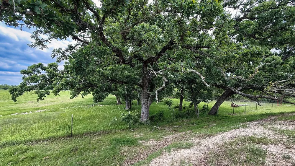 County Road 317 Rockdale, TX 76567