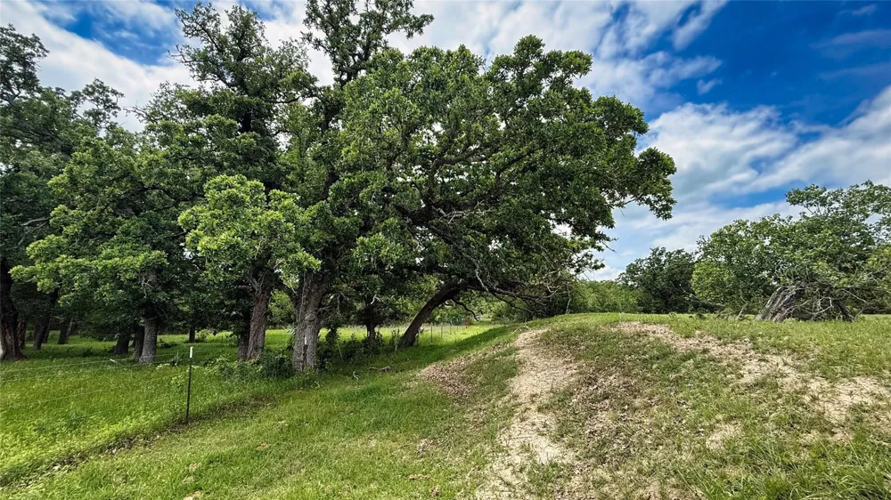 County Road 317 Rockdale, TX 76567
