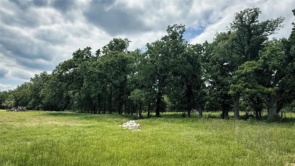 County Road 317 Rockdale, TX 76567