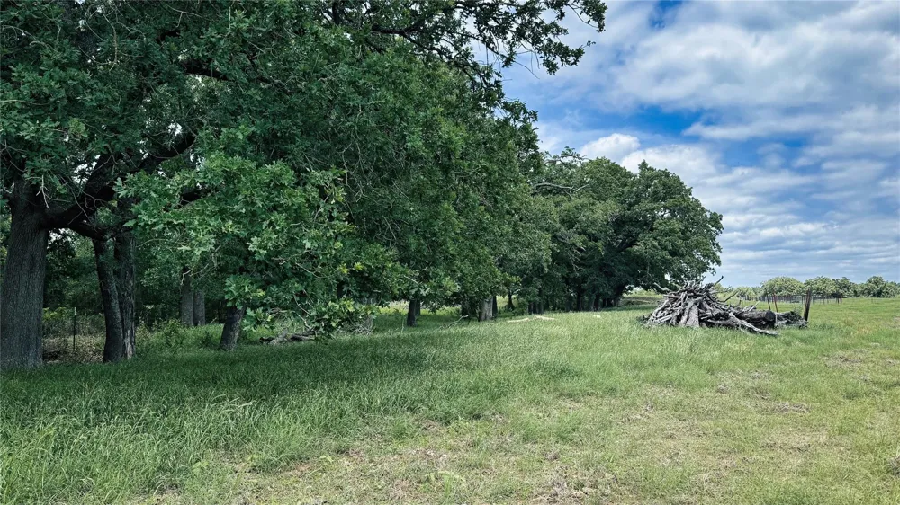 County Road 317 Rockdale, TX 76567