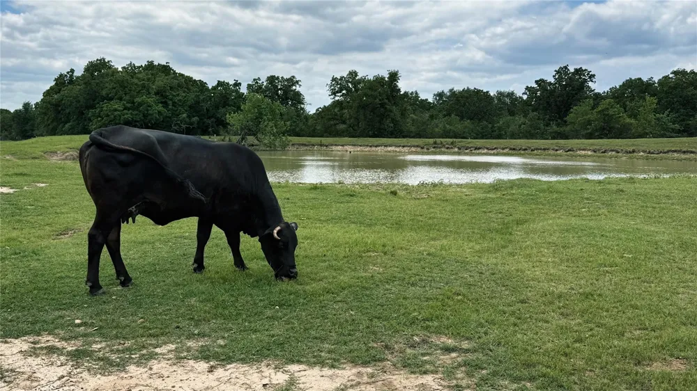 County Road 317 Rockdale, TX 76567