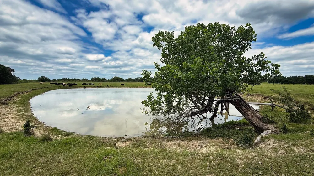 County Road 317 Rockdale, TX 76567