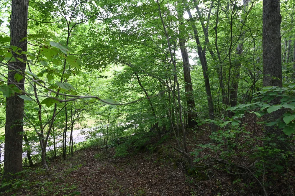 0 Lower Crooked Creek Rd Lobelville, TN 37097