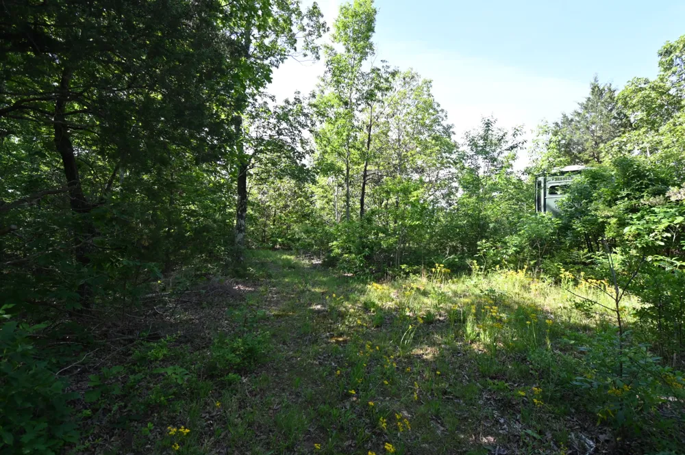 0 Lower Crooked Creek Rd Lobelville, TN 37097