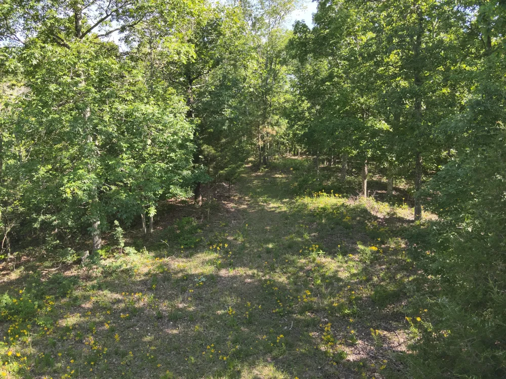 0 Lower Crooked Creek Rd Lobelville, TN 37097