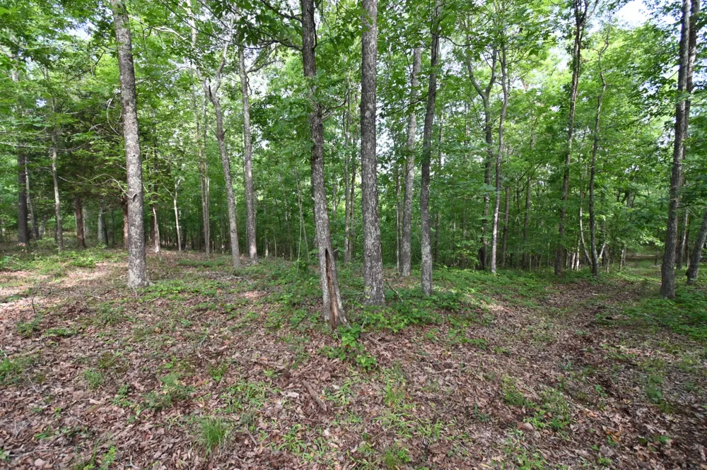 0 Lower Crooked Creek Rd Lobelville, TN 37097
