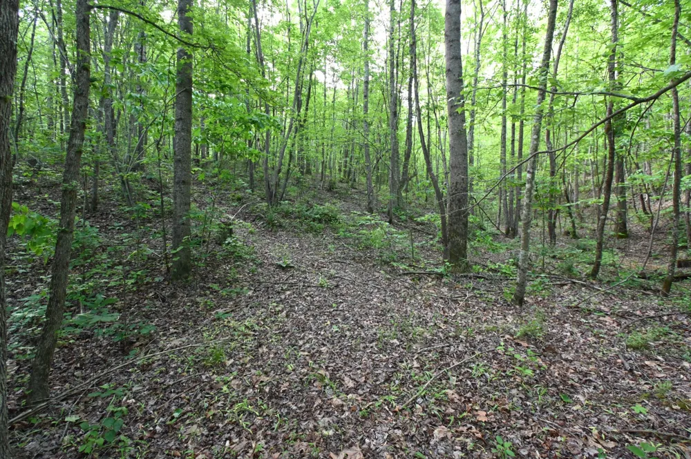0 Lower Crooked Creek Rd Lobelville, TN 37097