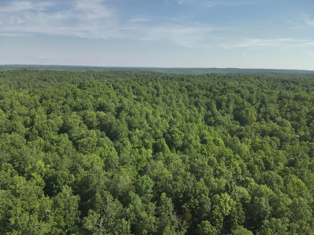 0 Lower Crooked Creek Rd Lobelville, TN 37097