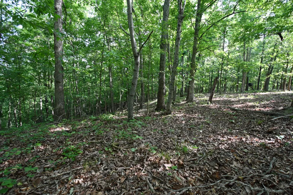 0 Lower Crooked Creek Rd Lobelville, TN 37097