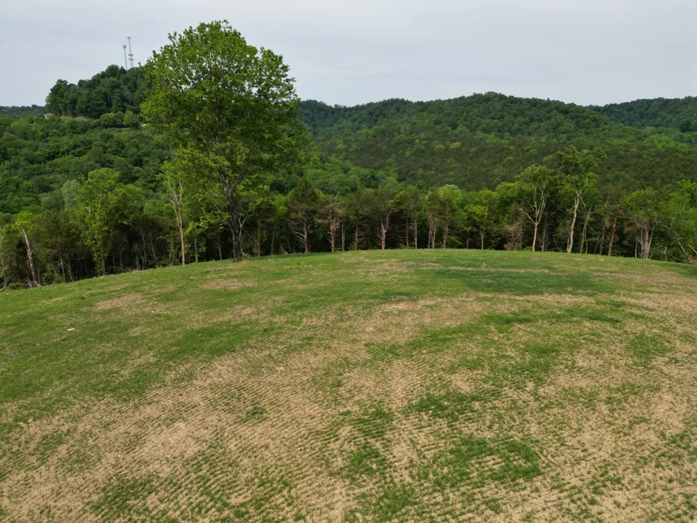0 Baugh Hollow Rd Gainesboro, TN 38562