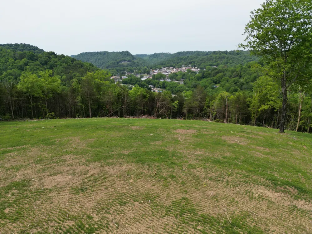 0 Baugh Hollow Rd Gainesboro, TN 38562