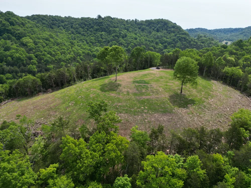 0 Baugh Hollow Rd Gainesboro, TN 38562
