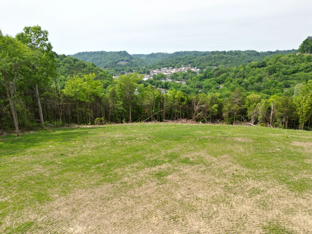 0 Baugh Hollow Rd Gainesboro, TN 38562
