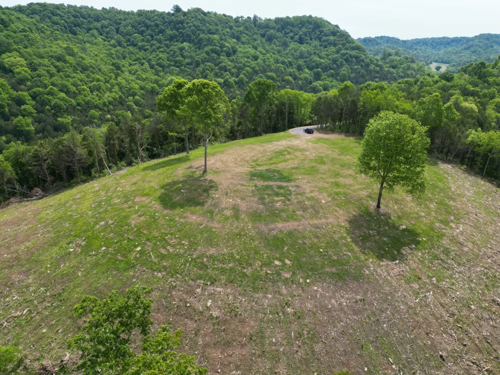 0 Baugh Hollow Rd Gainesboro, TN 38562