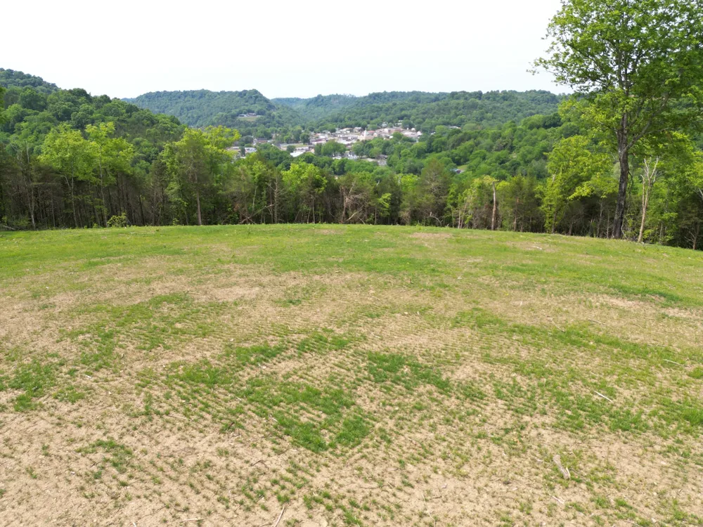 0 Baugh Hollow Rd Gainesboro, TN 38562