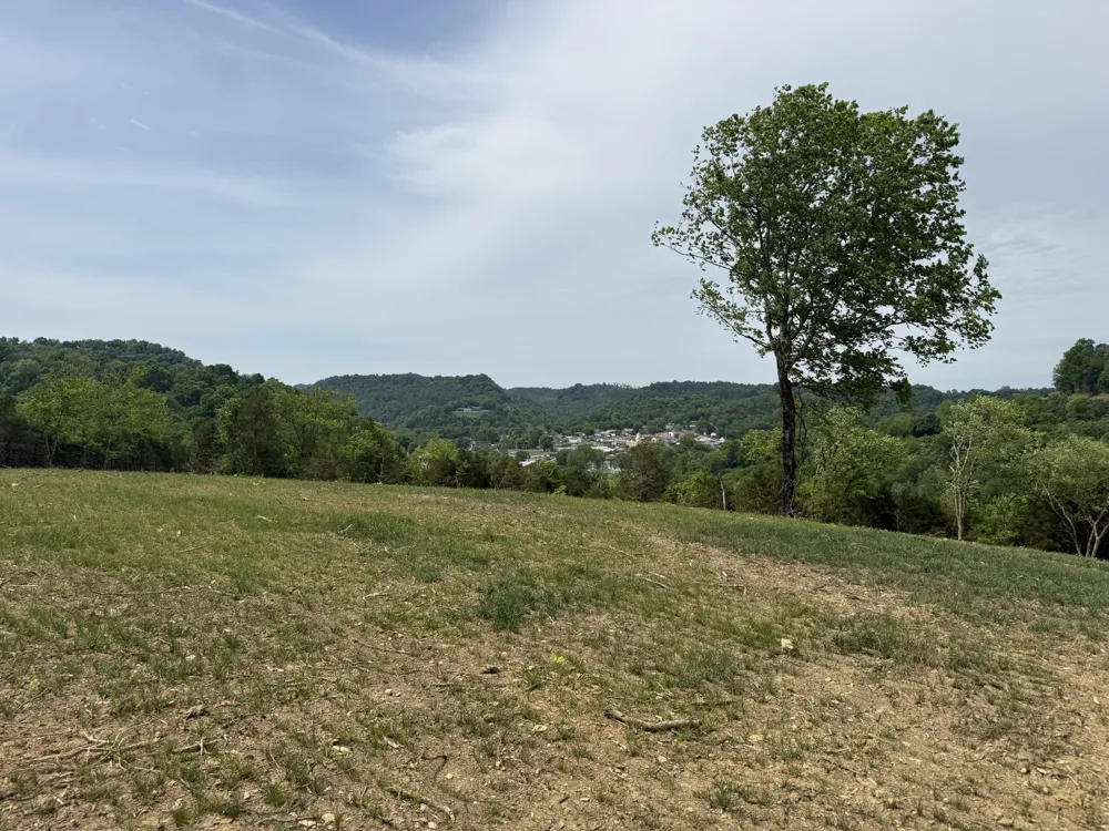 0 Baugh Hollow Rd Gainesboro, TN 38562