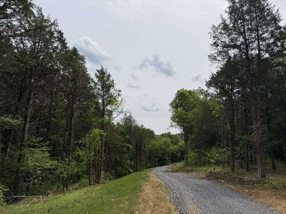 0 Baugh Hollow Rd Gainesboro, TN 38562